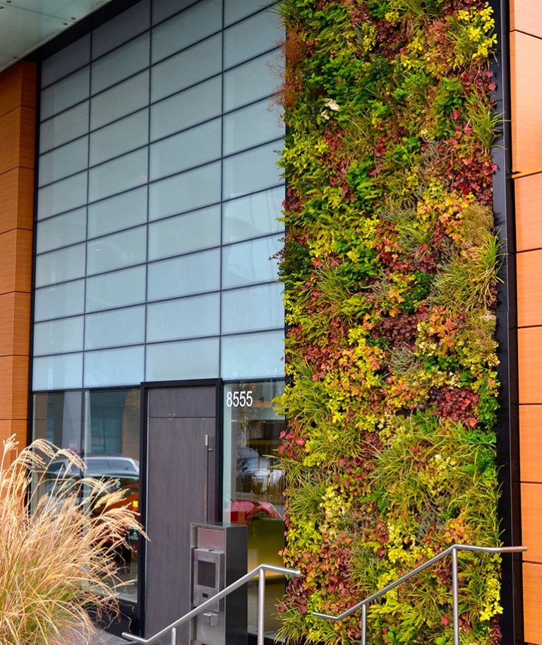 70th & Granville Vancouver Vertical Garden - Architek