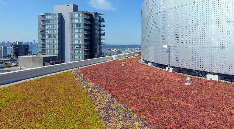 CentreView-Green-Roof-1033
