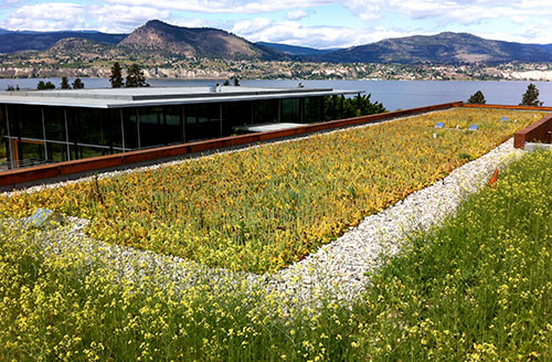green-roof-system-vancouver