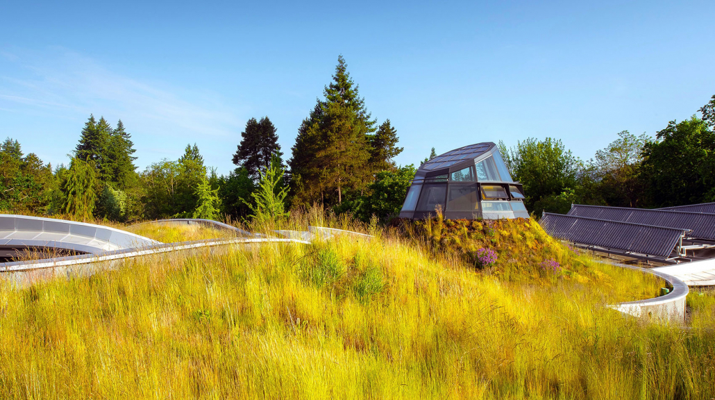 green-roofs-living-walls-green-facades