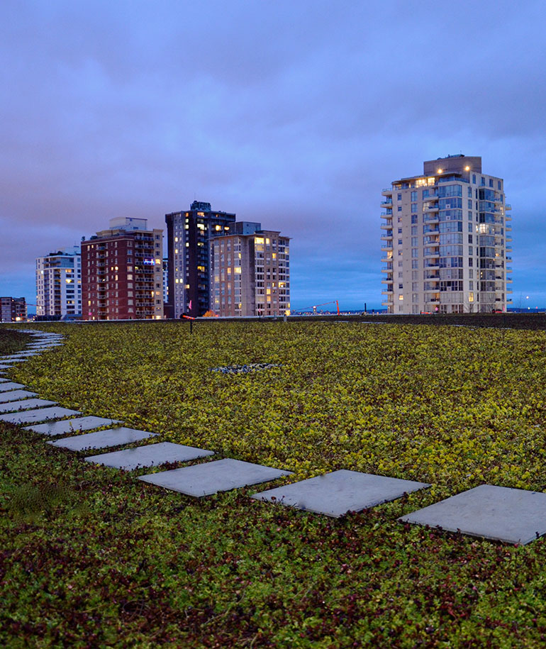 The Local Green Roof North Vancouver