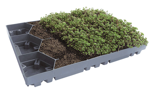 SedumDrain® 25 drainage board for green roof build-up - ArchiGreen