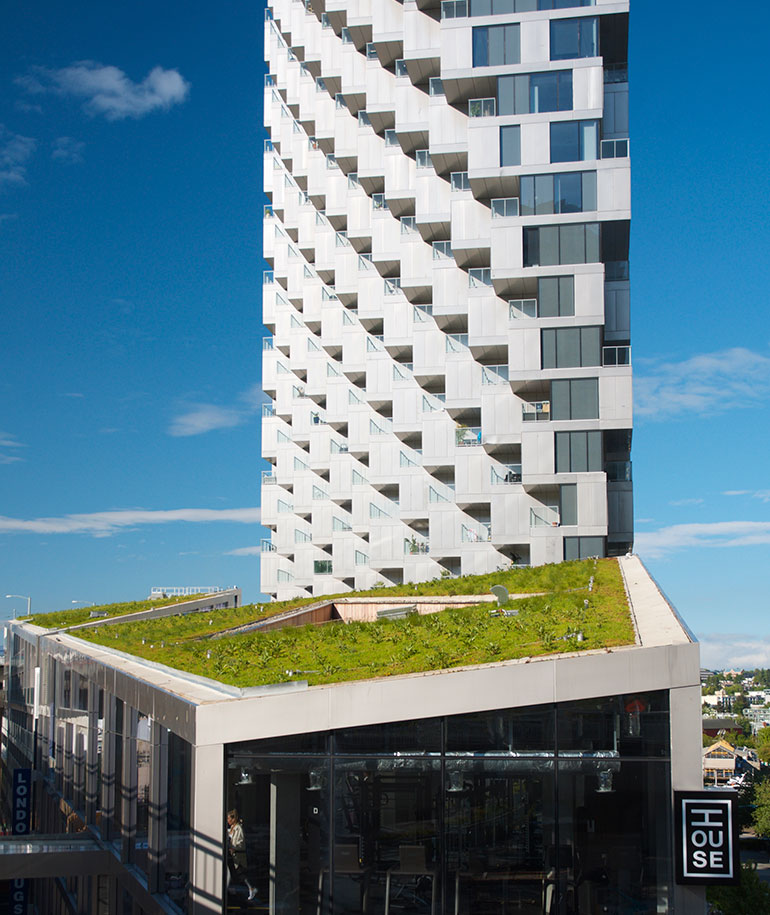 green roof vancouver house