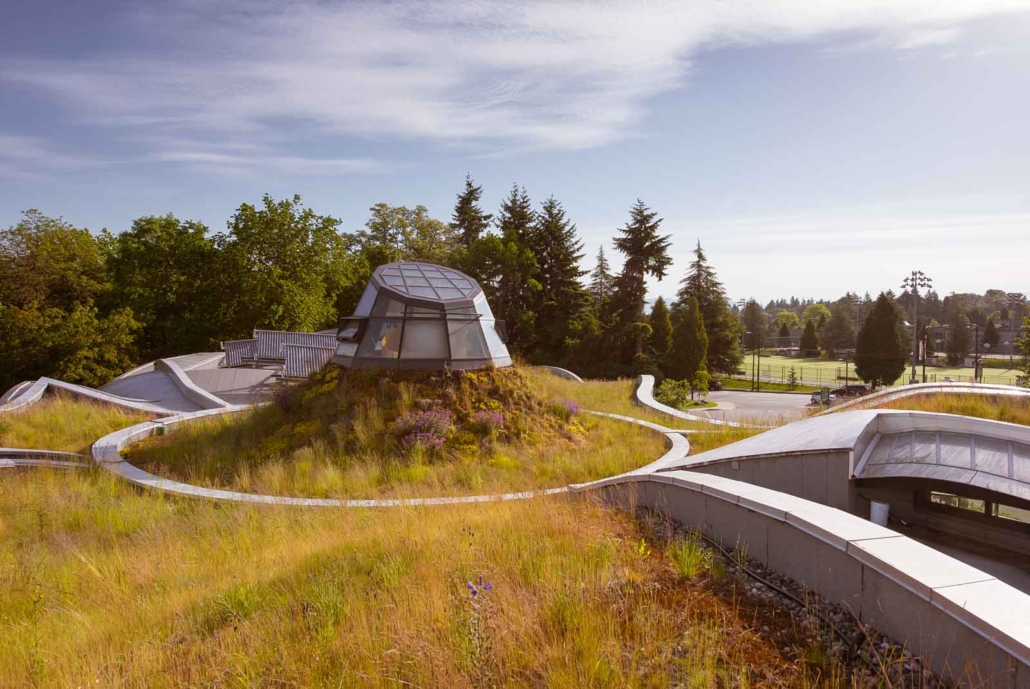 Green roof installed by Architek by VanDusen Botanical Garden Vancouver 
