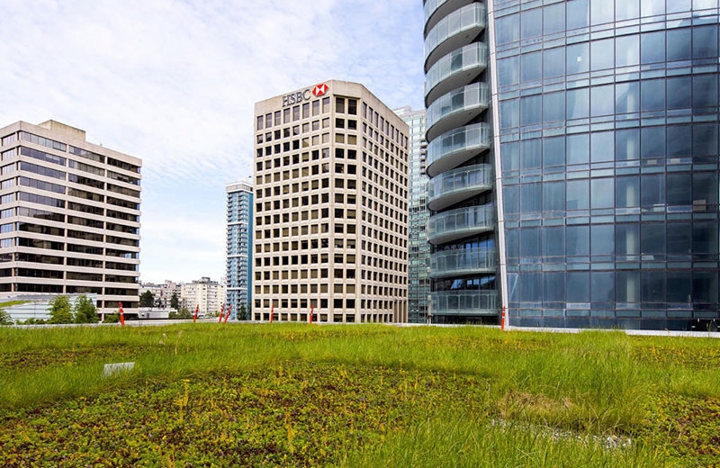 green roof suppliers